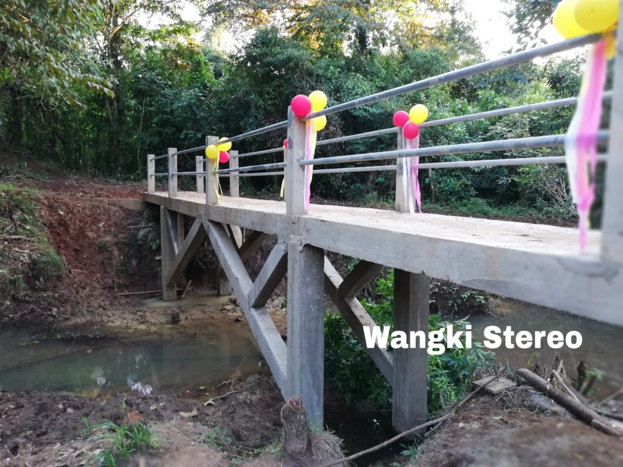 PUENTE2